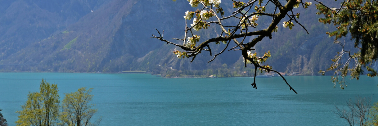 Gemeinde Sisikon_02 Gemeinde Sisikon_02